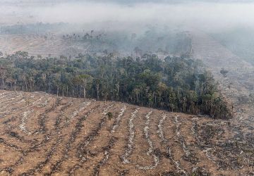 Fundo da Amazônia terá contribuição de R$ 91 milhões da Irlanda