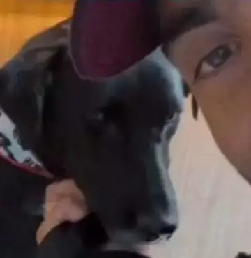 Pedro Scooby adota cachorro resgatado no Rio Grande do Sul