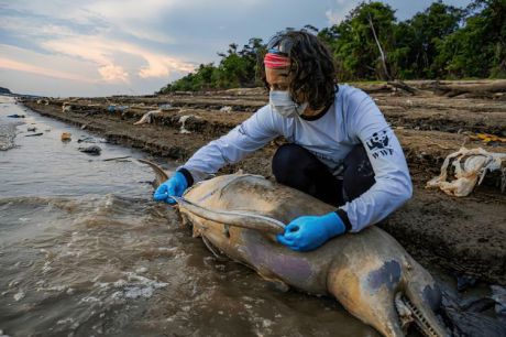 Mudanças climáticas já interferem em secas e cheias na Amazônia