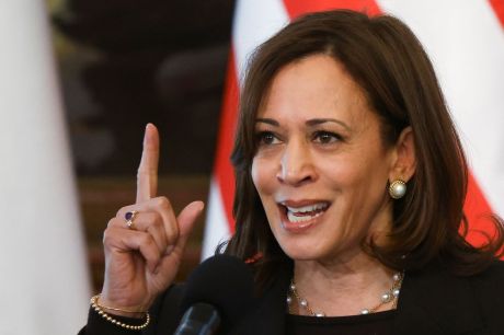 Kamala pede união ao Partido Democrata para derrotar Donald Trump