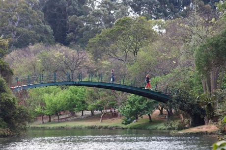 Hoje é Dia: Ibirapuera, Getúlio e Leminski são destaques da semana