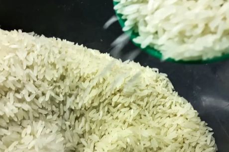 Conab vai doar sementes de arroz para agricultores familiares do RS