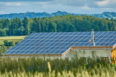 Peso na conta de luz de jabuti para energia solar será de R$ 24 bi