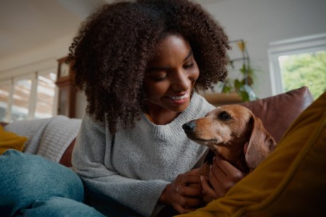 Conexão intensa com cachorro reduz risco de depressão e ansiedade