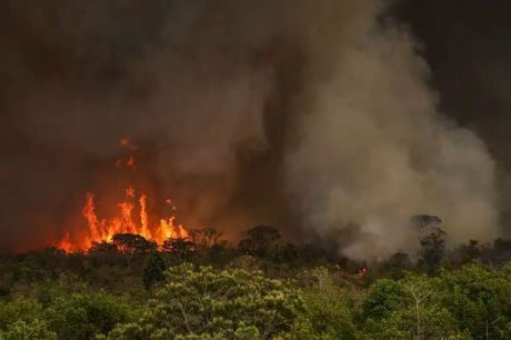 Ato em SP conclama para medidas de mitigação da emergência climática