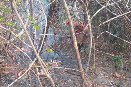 Incêndio na Chapada dos Veadeiros ainda não foi controlado