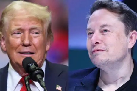 Elon Musk diz que pode sofrer 'vingança' se Trump perder eleições