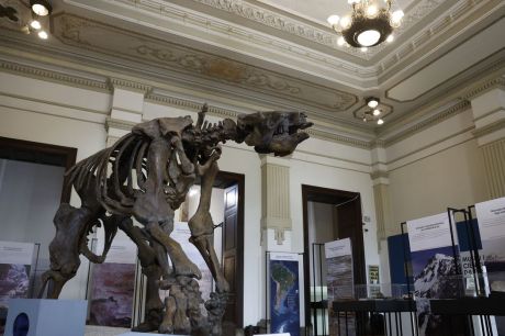 Museu de Ciências da Terra será revitalizado no Rio