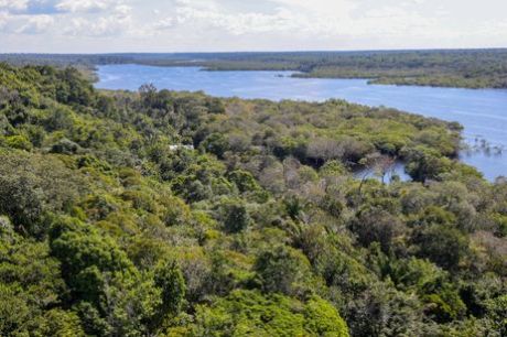 Finanças pautam nova rodada da COP16 da Biodiversidade em Roma