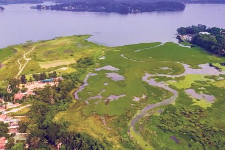 Parque na orla da represa Guarapiranga tem 261 espécies de aves